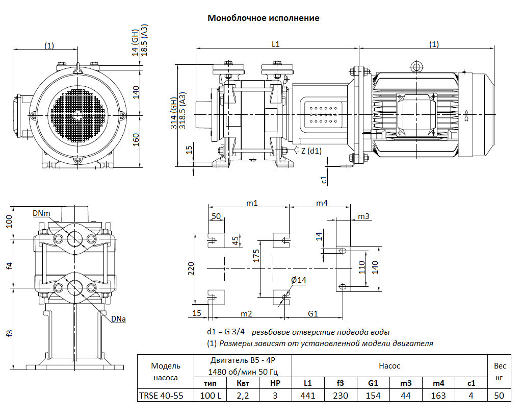 Габаритный чертеж вакуумного насоса Pompetravaini TRSE 40-55* F
