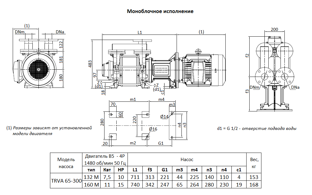 Габаритный чертеж вакуумного насоса Pompetravaini TRVA 65-300 RX