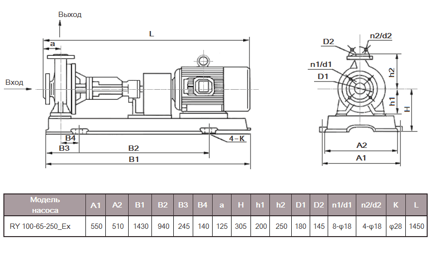 Габаритный чертеж насоса RY 100-65-250_Ex