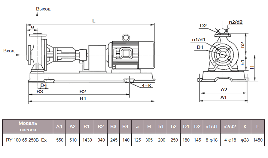 Габаритный чертеж насоса RY 100-65-250B_Ex