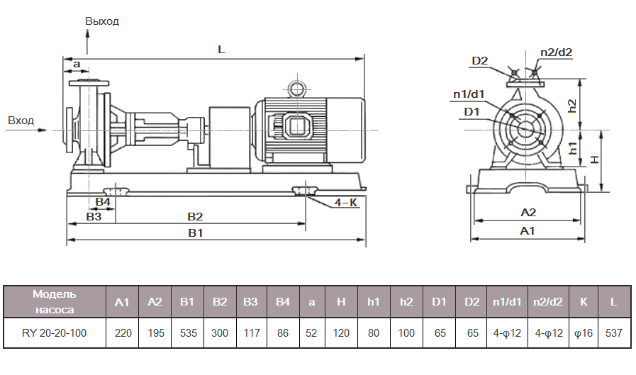 Габаритный чертеж насоса ZY Technology RY 20-20-100