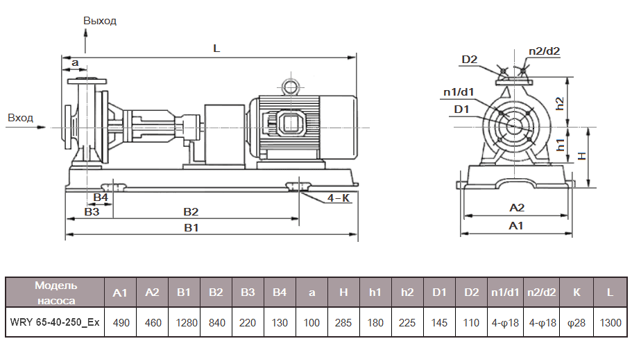 Габаритный чертеж модели WRY 65-40-250_Ex