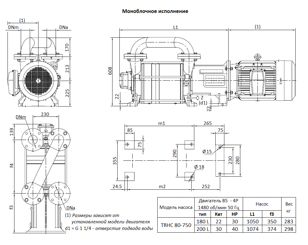 Габаритный чертеж вакуумного насоса Pompetravaini TRHC 80-750 F