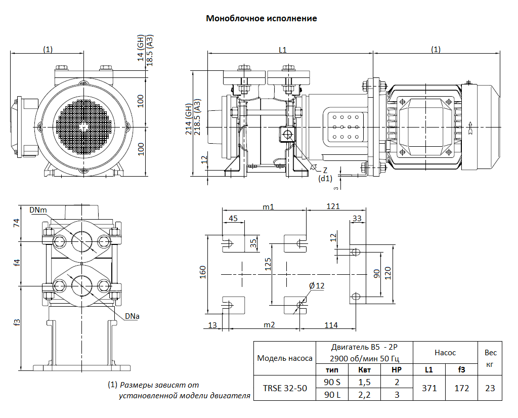 Габаритный чертеж вакуумного насоса Pompetravaini TRSE 32-50* RX