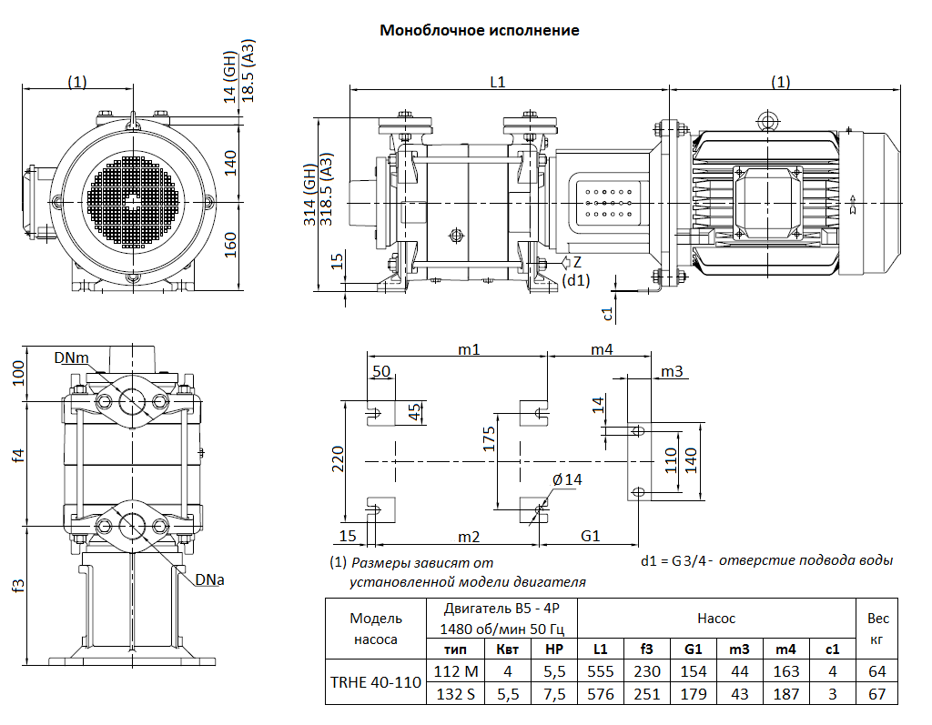 Габаритный чертеж вакуумного насоса Pompetravaini TRHE 40-110 F
