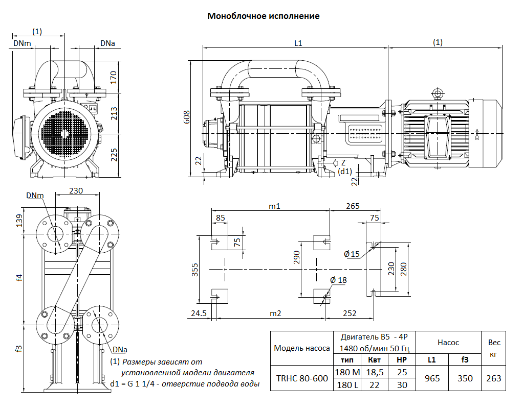 Габаритный чертеж вакуумного насоса Pompetravaini TRHC 80-600 F