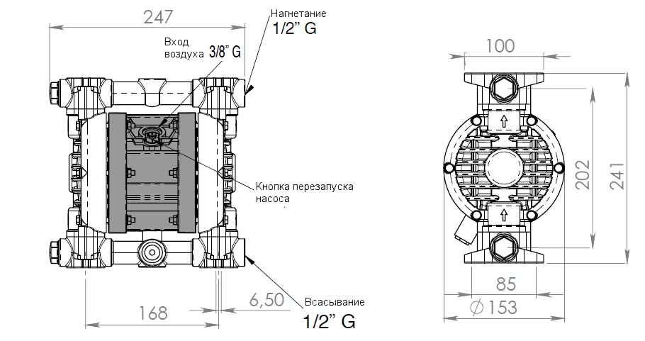 Габаритный чертеж насоса Debem MINIBOXER 50-P